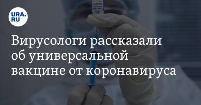 Александр Чепурнов - Вирусологи рассказали об универсальной вакцине от коронавируса. «Такая разрабатывается у нас» - ura.news