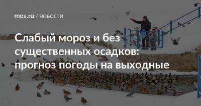 Слабый мороз и без существенных осадков: прогноз погоды на выходные - mos.ru - Москва