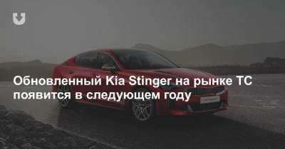 Обновленный Kia Stinger на рынке ТС появится в следующем году - news.tut.by