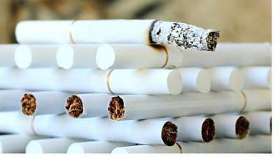 Совфед одобрил закон о запрете перевозки по России более 200 сигарет без маркировки - piter.tv