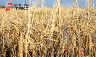 Глеб Сергеевич Никитин - В Нижегородской области в 2020 году собран рекордный урожай зерна - smartmoney.one - Нижегородская обл. - Нижний Новгород - Нижний Новгород