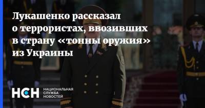 Александр Лукашенко - Лукашенко рассказал о террористах, ввозивших в страну «тонны оружия» из Украины - nsn.fm - Белоруссия