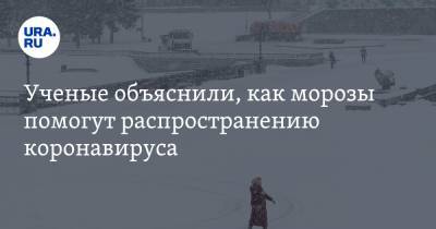 Сергей Нетесов - Ученые объяснили, как морозы помогут распространению коронавируса - ura.news - Новосибирск