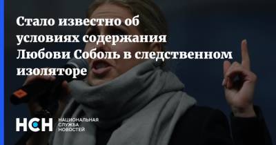 Любовь Соболь - Марина Литвинович - Стало известно об условиях содержания Любови Соболь в следственном изоляторе - nsn.fm - Москва