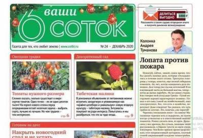 Денис Терентьев - Вышел последний в этом году номер газеты «Ваши 6 соток» - skuke.net