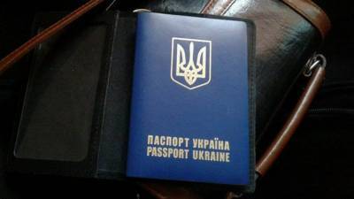 Константин Салаев - Паспорта-книжки поменяют на документы нового формата на Украине - nation-news.ru