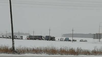 На трассе Тюмень — Омск водитель погиб из-за лисы - nashgorod.ru - Тюмень - Омск