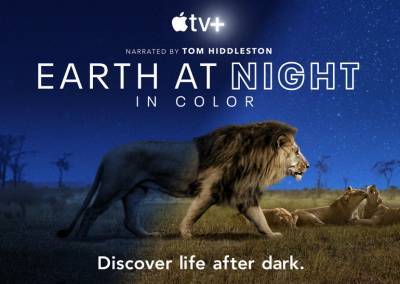 Рецензия на документальный сериал Earth at Night in Color / «Ночная земля в цвете» - itc.ua - Англия