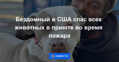 Бездомный в США спас всех животных в приюте во время пожара - news.mail.ru - США - Атлант