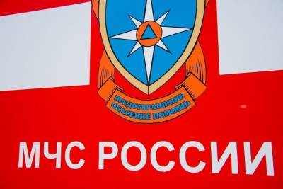 В Волгоградской области за сутки сгорели две иномарки - volg.mk.ru - Волгоград - Волгоградская обл.