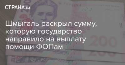 Шмыгаль раскрыл сумму, которую государство направило на выплату помощи ФОПам - strana.ua