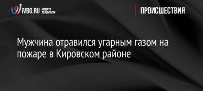 Мужчина отравился угарным газом на пожаре в Кировском районе - ivbg.ru - Ленинградская обл. - р-н Кировский