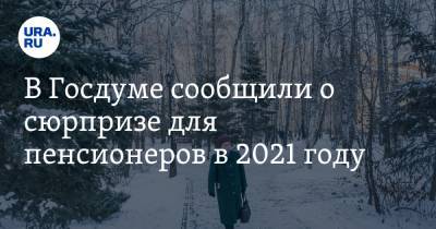 Виталий Милонов - Сергей Калашников - В Госдуме сообщили о сюрпризе для пенсионеров в 2021 году - ura.news