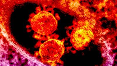 Мэтт Хэнкок - Ученые назвали причину высокой заразности нового варианта коронавируса для детей - gazeta.ru - Англия - Лондон