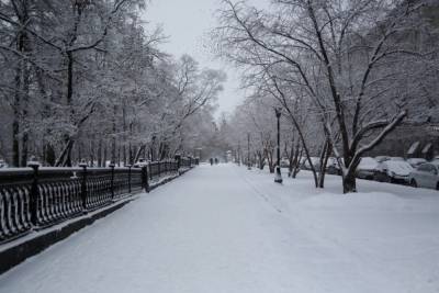 Резкое потепление придет в Новосибирск с 28 декабря - novos.mk.ru - Новосибирск