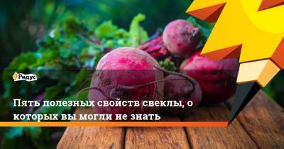 Пять полезных свойств свеклы, о которых вы могли не знать - ridus.ru
