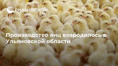 Производство яиц возродилось в Ульяновской области - ria.ru - Москва - Ульяновская