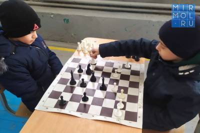 В Хасавюрте прошли соревнования по шахматам, посвященные 100-летию образования ДАССР - mirmol.ru - Хасавюрт