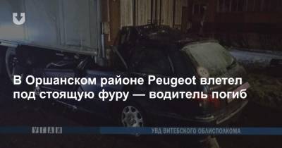 В Оршанском районе Peugeot влетел под стоящую фуру — водитель погиб - news.tut.by