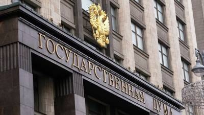 Наталья Костенко - В Госдуме предложили ввести статус общественного инспектора для желающих помочь в сохранении памятников - russian.rt.com