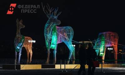 Руслан Кухарук - На набережной в Тюмени появились светящиеся олени - fedpress.ru - Тюмень