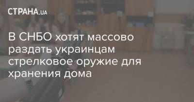 Сергей Кривонос - В СНБО хотят массово раздать украинцам стрелковое оружие для хранения дома - strana.ua