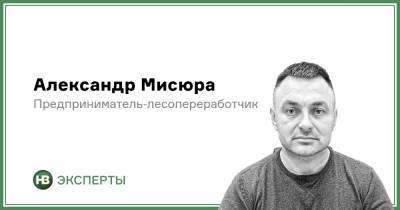 Кто контролирует украинский лес: скрытые интересы и государственные реалии - nv.ua