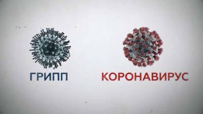 Два в одном: коронавирус и грипп «работают» в паре - lenta.ua - Иран