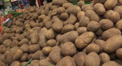 Андрей Ярмак - Украина в тройке крупнейших производителей картофеля, но есть ряд проблем - enovosty.com