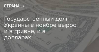 Государственный долг Украины в ноябре вырос и в гривне, и в долларах - strana.ua