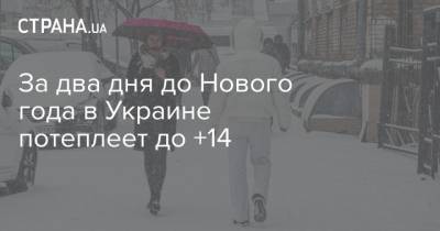 Наталья Диденко - За два дня до Нового года в Украине потеплеет до +14 - strana.ua - Киев