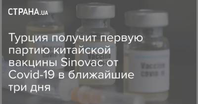 Реджеп Эрдоган - Тайип Эрдоган - Турция получит первую партию китайской вакцины Sinovac от Covid-19 в ближайшие три дня - strana.ua - Турция