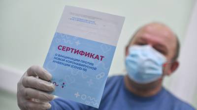 Татьяна Голикова - Россияне вскоре смогут выбирать вакцины от коронавируса - vesti.ru