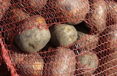 Андрей Ярмак - Мнение: 99% картофеля в супермаркетах Украины — сырье - agroportal.ua