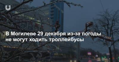 В Могилеве 29 декабря из-за погоды не могут ходить троллейбусы - news.tut.by
