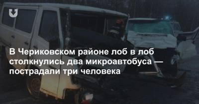 В Чериковском районе лоб в лоб столкнулись два микроавтобуса — пострадали три человека - news.tut.by - Бобруйск