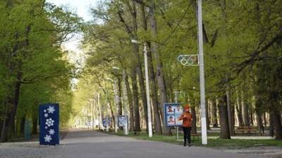 Андрей Лузгин - Лузгин изложил план преобразования зеленой зоны на Западной Поляне - penzainform.ru - Пенза - Благоустройство - Строительство