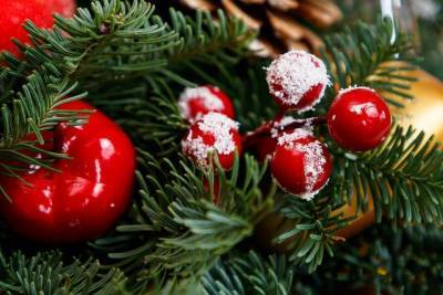 Почему ель — это новогоднее дерево? - skuke.net - Россия
