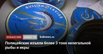 Полицейские изъяли более 3 тонн нелегальной рыбы и икры - kubnews.ru