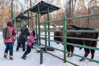 Члены женского клуба из Серпухова дали имя маленькому зубренку - serp.mk.ru