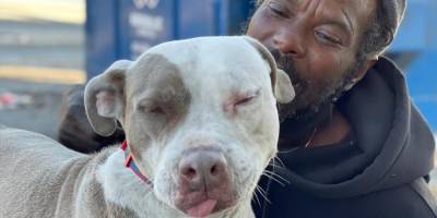 В США бездомный побежал в горящее здание, чтобы помочь животным из местного приюта. Ему это удалось — он спас 6 собак и 10 котов - nv.ua - США - шт. Джорджия - Атлант