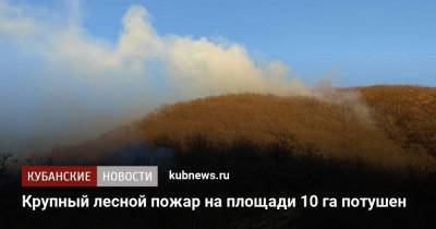 Крупный лесной пожар на площади 10 га потушен - kubnews.ru - Краснодарский край