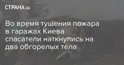 Во время тушения пожара в гаражах Киева спасатели наткнулись на два обгорелых тела - strana.ua - Киев