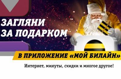 Новогодние подарки в «Мой Билайн»: интернет, минуты, скидки и многое другое - vgoroden.ru