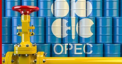 Страны ОПЕК+ договорились увеличить добычу нефти с января 2021 года - profile.ru