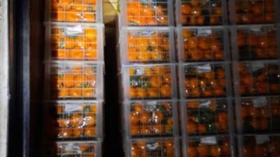 Новогодние столы останутся без 127 тонн мандаринов и сухофруктов - glob-news.ru - Киргизия - Оренбургская обл.