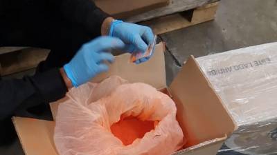 На территории аэропорта в Гватемале конфисковали 418 кг кокаина - iz.ru - Израиль - Колумбия - Кали - Гватемала