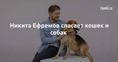 Никита Ефремов - Анна Старшенбаум - Никита Ефремов спасает кошек и собак - skuke.net