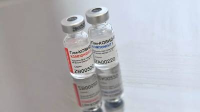 В Бразилии пройдут испытания вакцины «Спутник V» - eadaily.com - Brazil