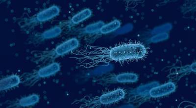 Пандемия увеличила риск появления супербактерий - ученые - Cursorinfo: главные новости Израиля - cursorinfo.co.il
